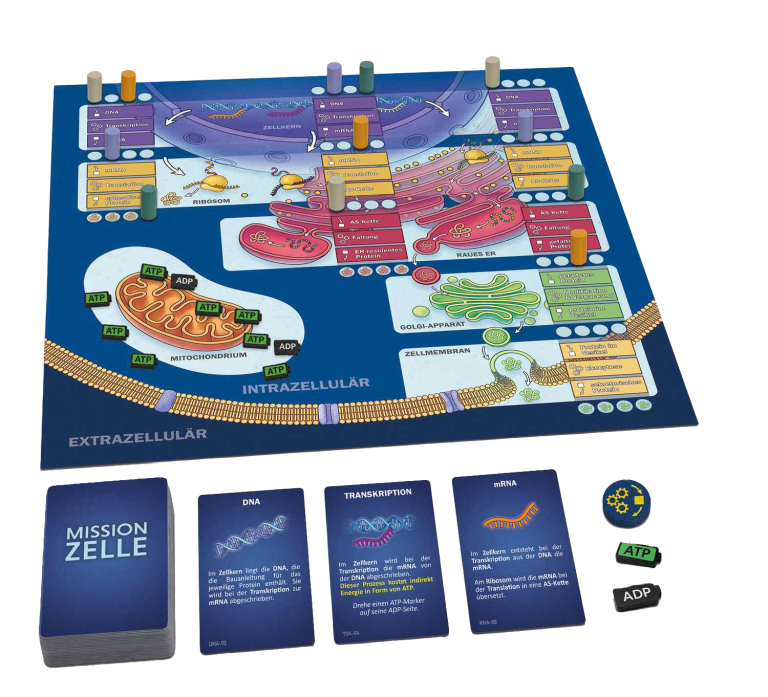 Das Spielbrett mit Zellen und Aktionskarten zur Zellbiologie.