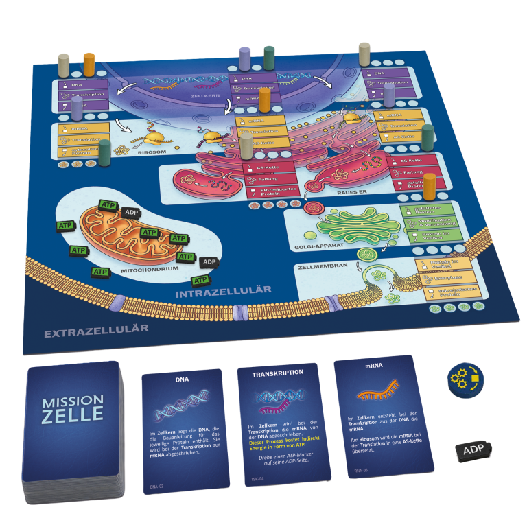 Spielbrett des Spiels "Mission Zelle" zum Thema Zellorganellen und intrazellulärer Transport