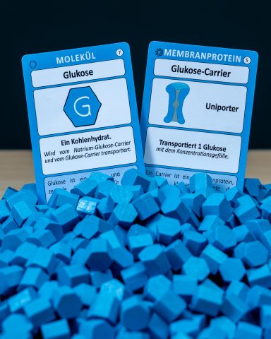 Glukose-Carrier Zwei Spielkarten von Mission Membran